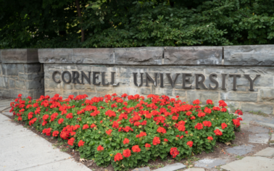 Cornell Certificate Programs de la mano de ENYD, Escuela de Negocios y Dirección