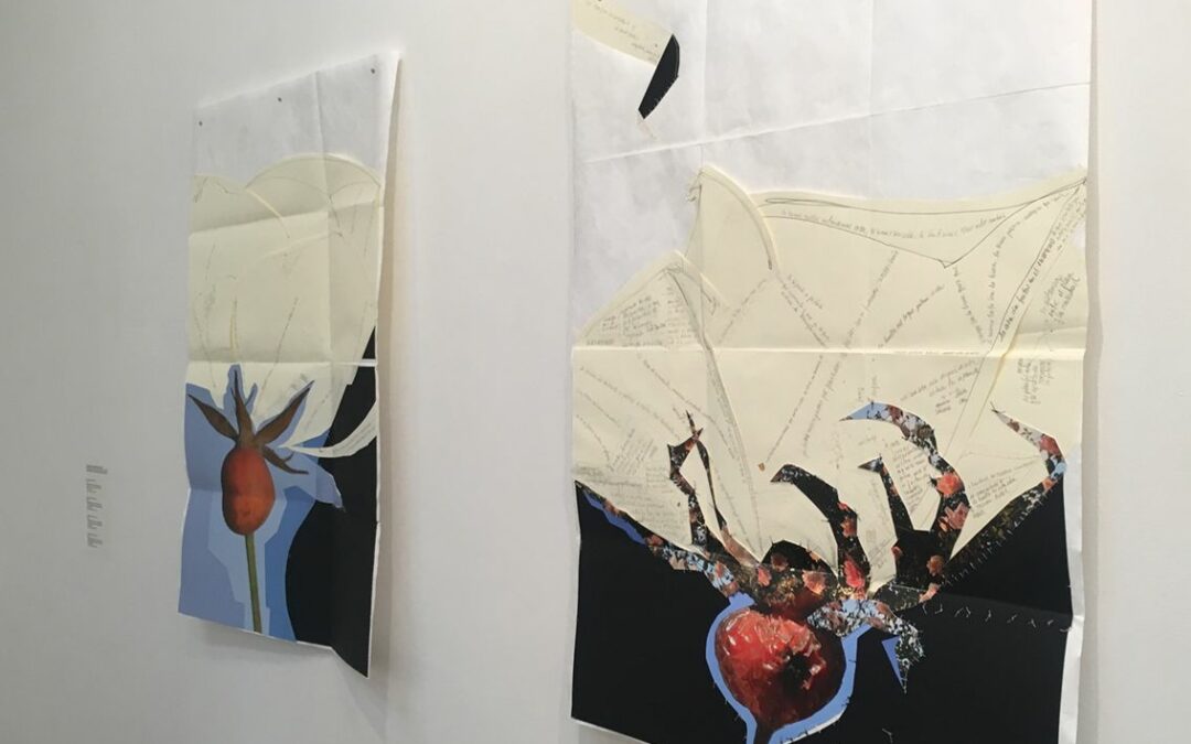 «Rosa en tiempos de Invierno», un trabajo de la artista Alexandra Kuhn
